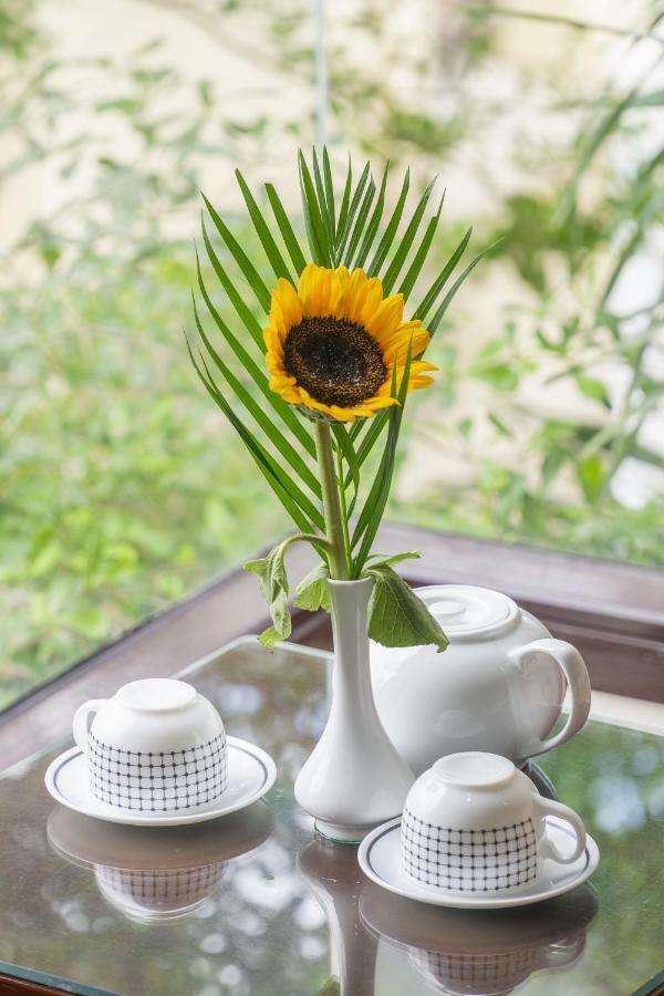 Golden Soulmate Homestay هوي ان المظهر الخارجي الصورة