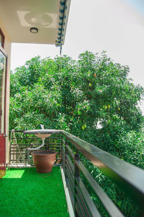 Golden Soulmate Homestay هوي ان المظهر الخارجي الصورة